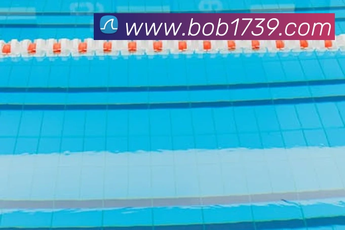 App Interface Preview